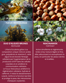 algologie インテンシブプレシャスオイル HB1 30ml