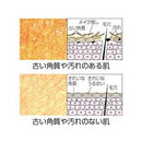 AHAクレンジングリサーチ ウォッシュクレンジングN スクラブ入り