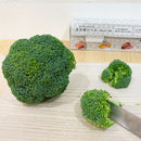 NISHIKIN まな板シート（24cm x 5m）